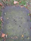 image of grave number 405458